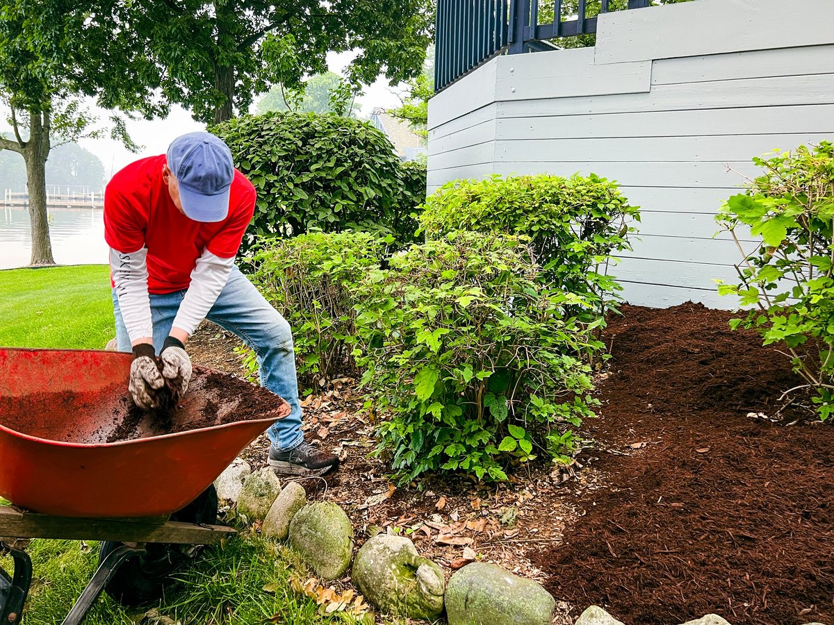 Professional landscaper at work